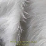 پارچه خز بیور 77